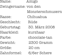 Name:                Amigo
Zwingername: von den                
                             MonsterschmusernRasse:                 ChihuahuaGeschlecht:        RüdeGeburtstag:        30. März 2008Haarkleid:          kurzhaarFarbe:                  chocolate-tan
Gewicht:              2300 GrammGröße:                  20 cm
Zahnformel:       6/6er Schere